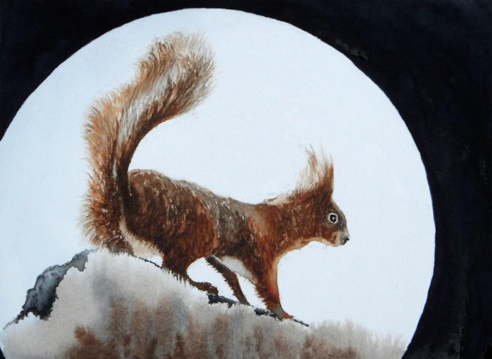 Moon Squirrel Moon Squirrel