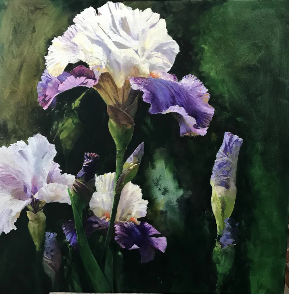 Iris Garden Iris Garden