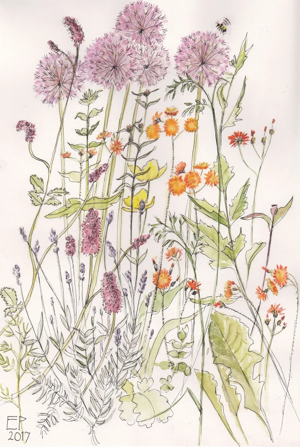 June flower border June flower border