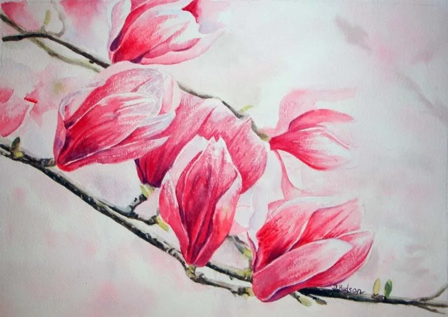 Blossom Blossom