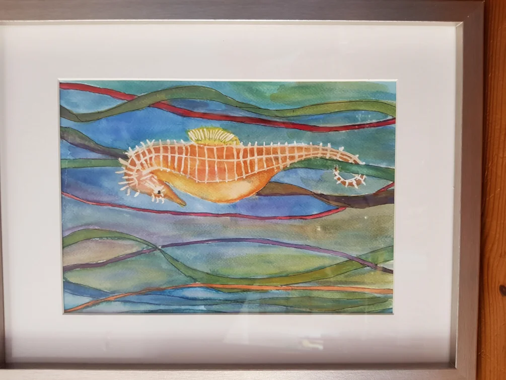 Sea Horse Sea Horse