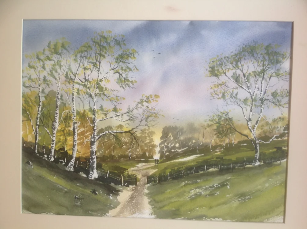 Woodland stroll Woodland stroll