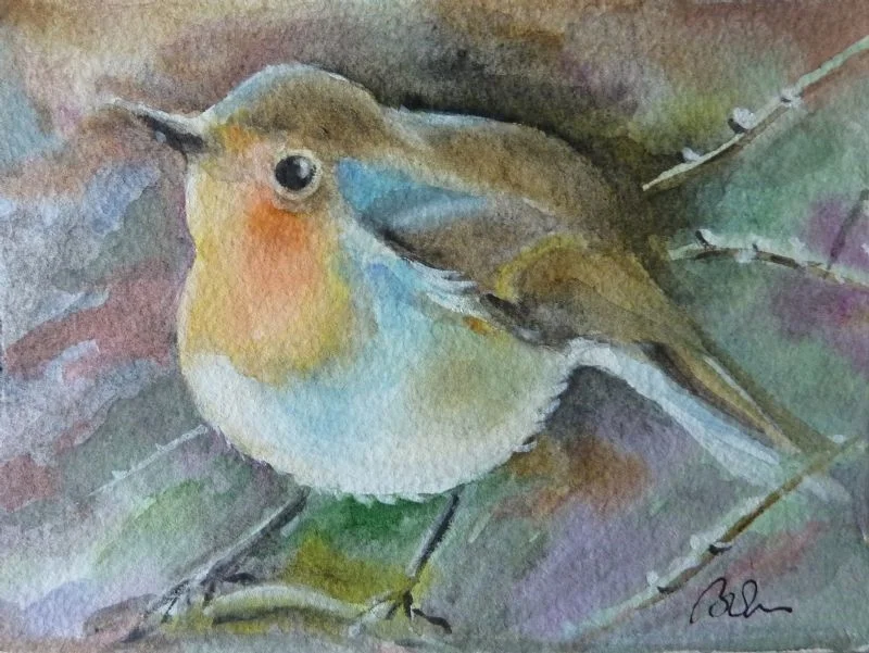 Our Robin Our Robin
