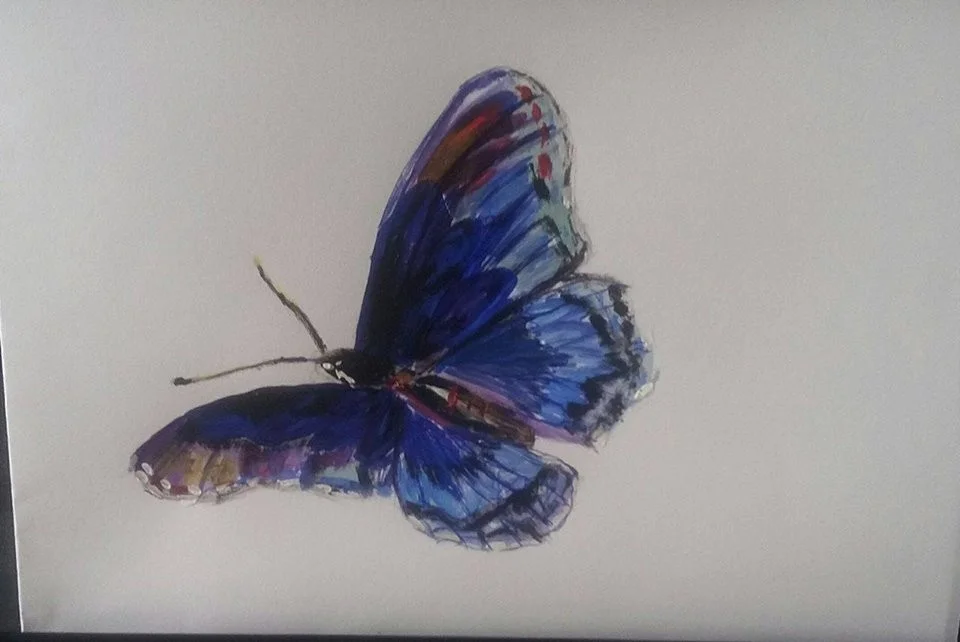Butterfly Butterfly
