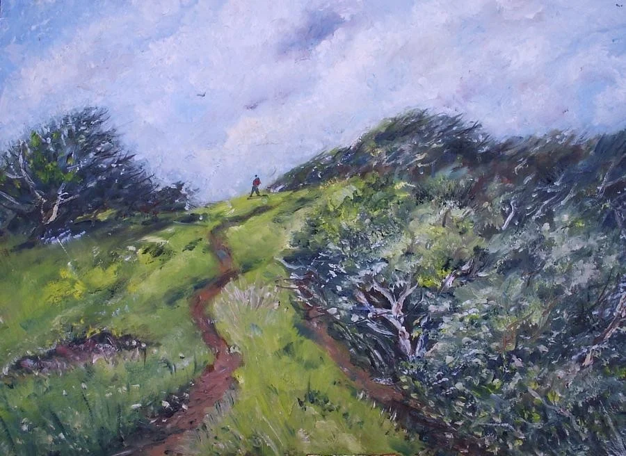 Up to the Downs Up to the Downs