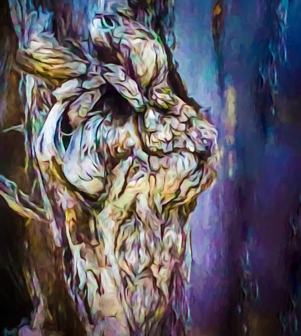 Tree Face Tree Face
