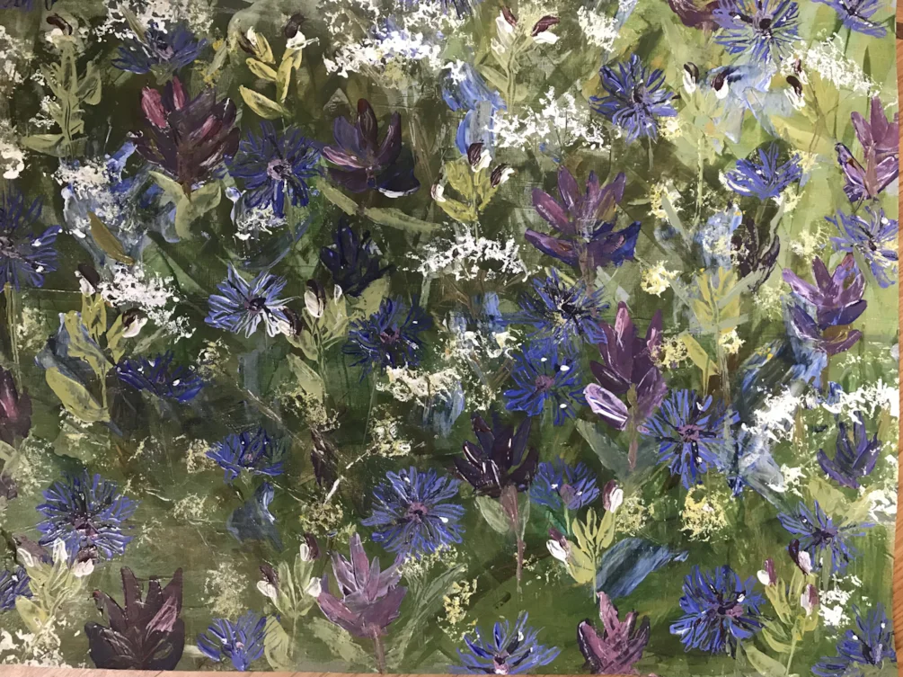 Cornflowers Cornflowers