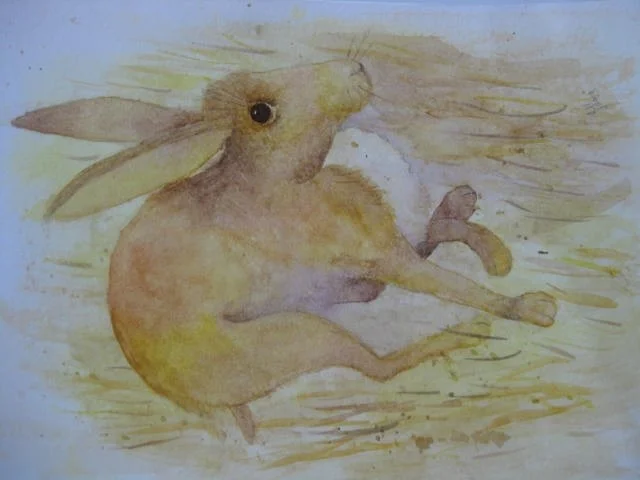 Run rabbit, run Run rabbit, run