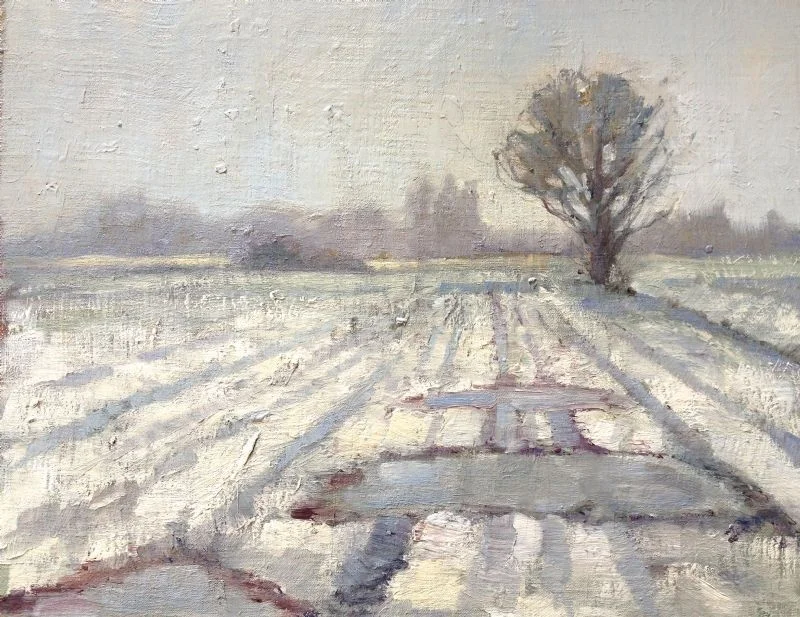 Frozen Puddles Frozen Puddles