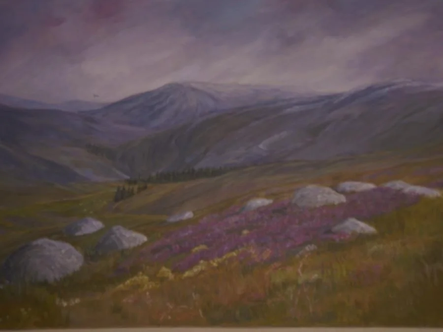 Dartmoor 1. by janet Davies, Devon Dartmoor 1. by janet Davies, Devon