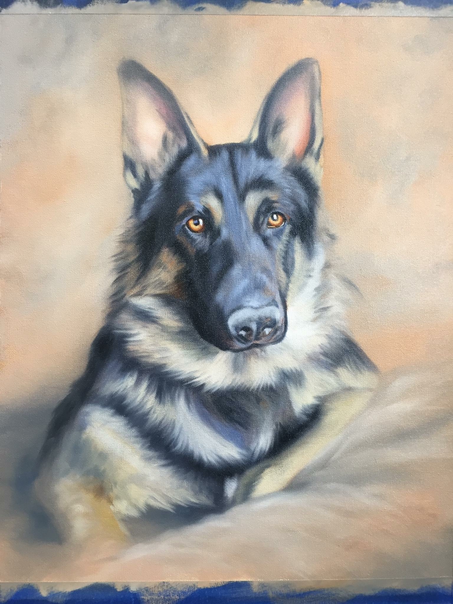Zeke German Shepherd - Oils half done.