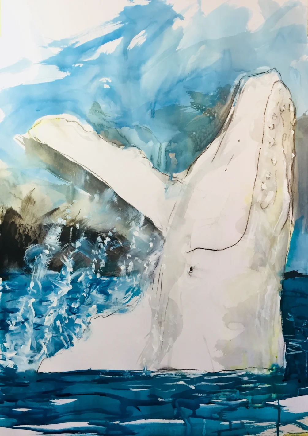 White whale White whale