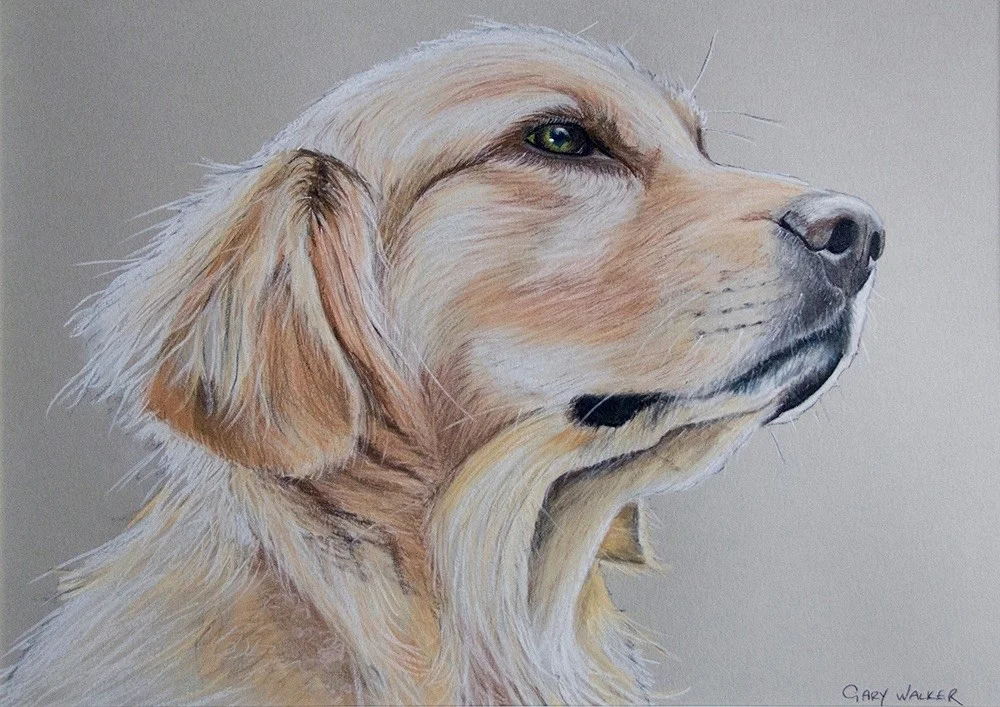 Retriever Retriever