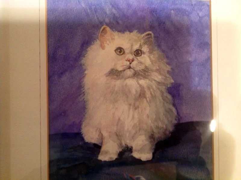 pussy cat pussy cat