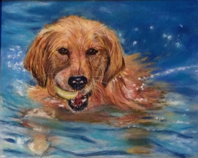 Fetch! Fetch!