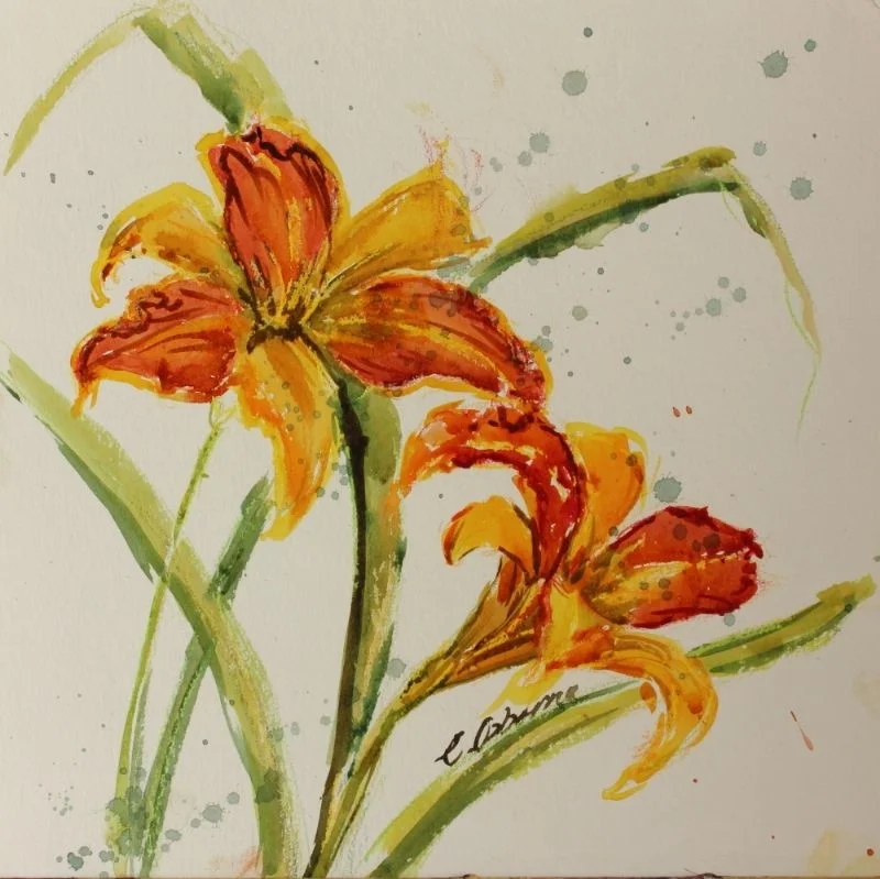Orange Daylily Orange Daylily