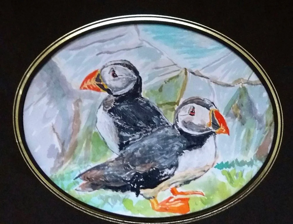 Puffins Puffins