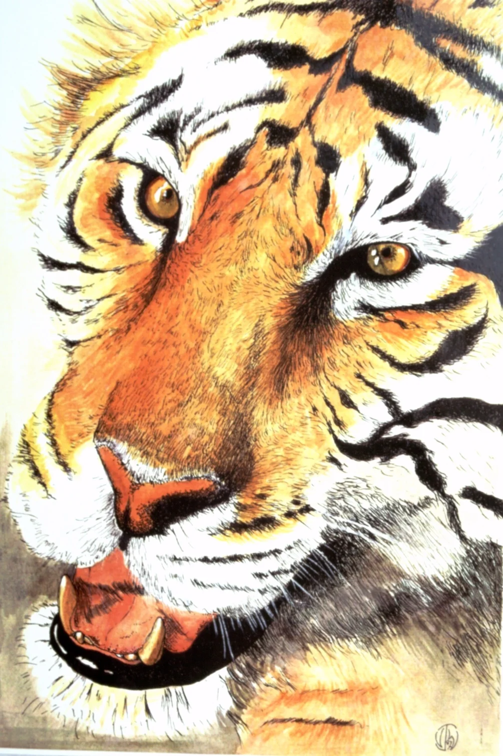 Tiger Tiger