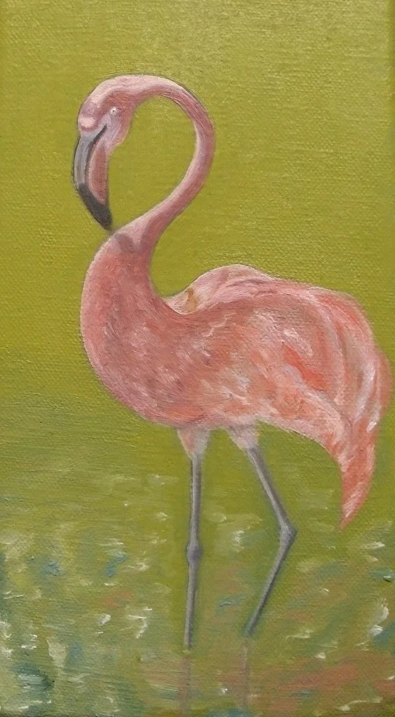 F is for Flamingo F is for Flamingo