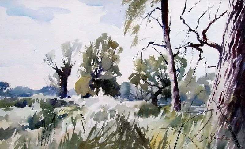 Spring foliage by the River Avon near Bath Spring foliage by the River Avon near Bath