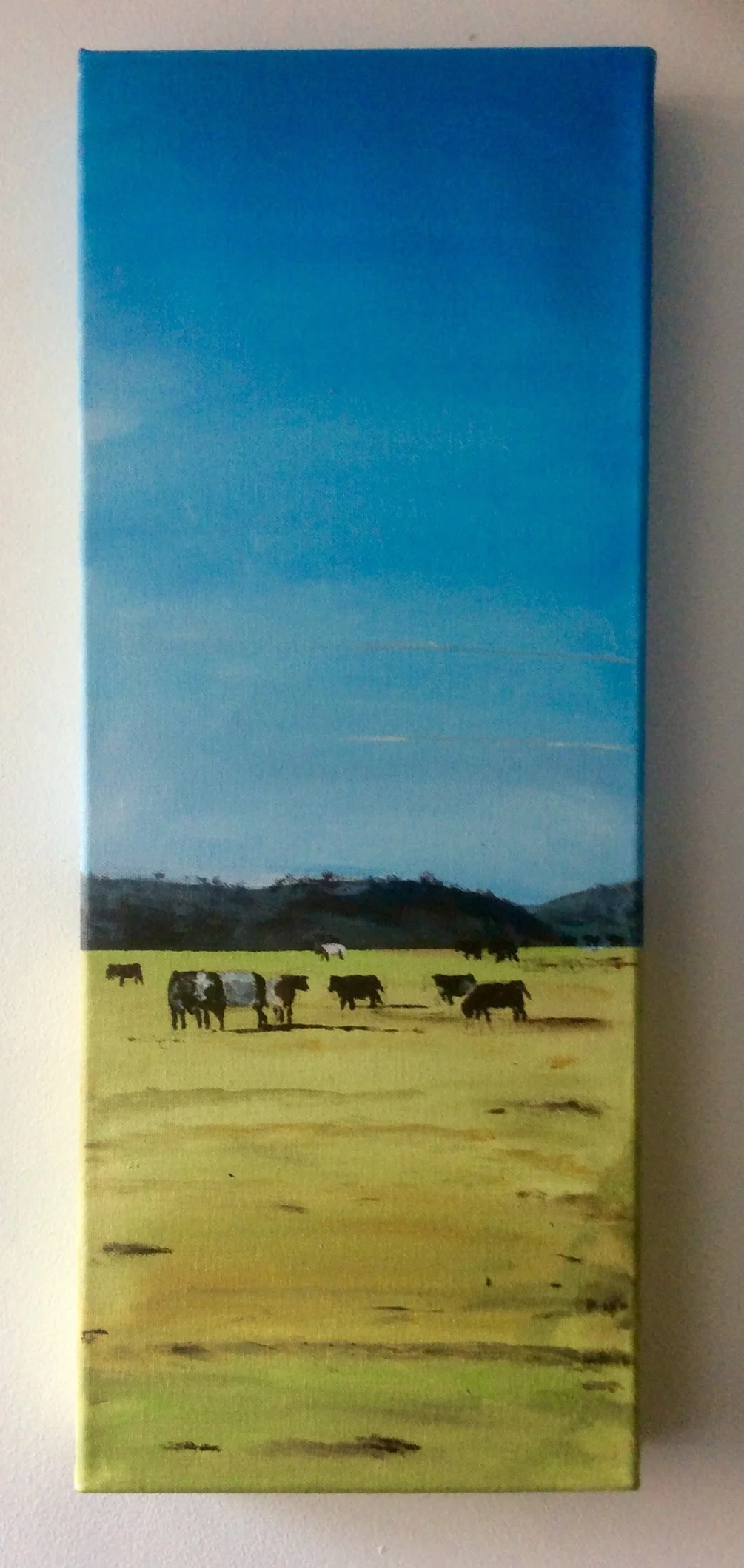 Cows in the New forest. Who is watching whom Cows in the New forest. Who is watching whom