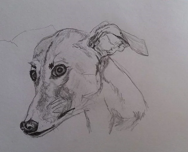 Penny Lurcher Penny Lurcher