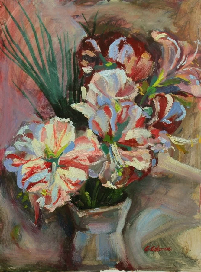 Amaryllis Flowers Amaryllis Flowers