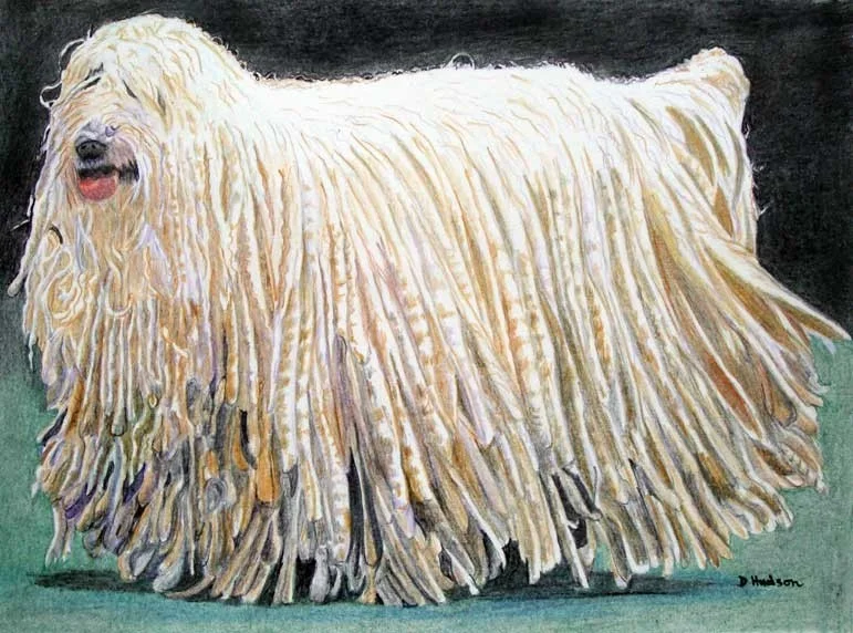 PULI PULI
