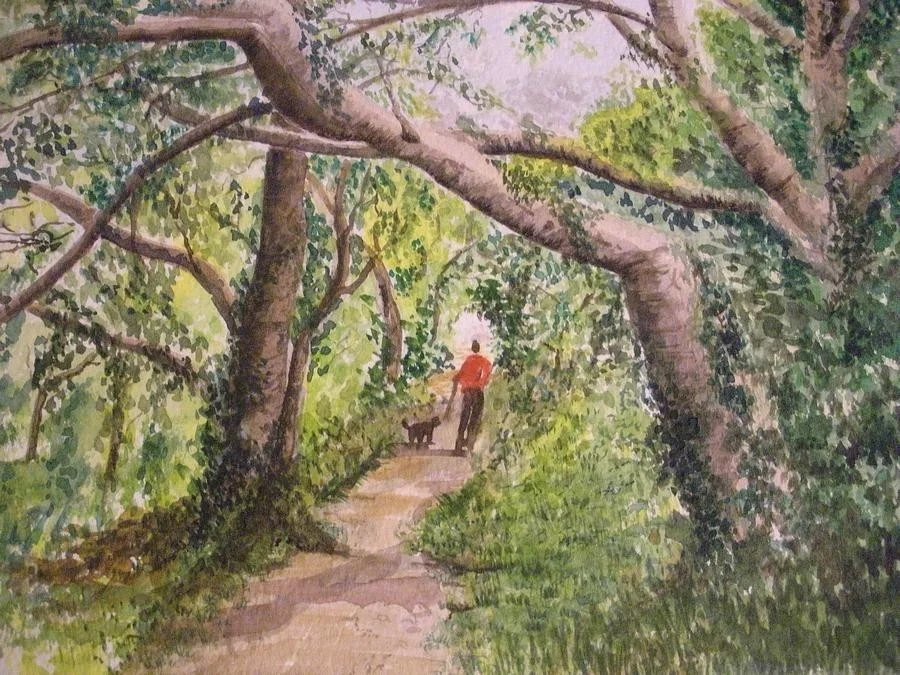 trees trees