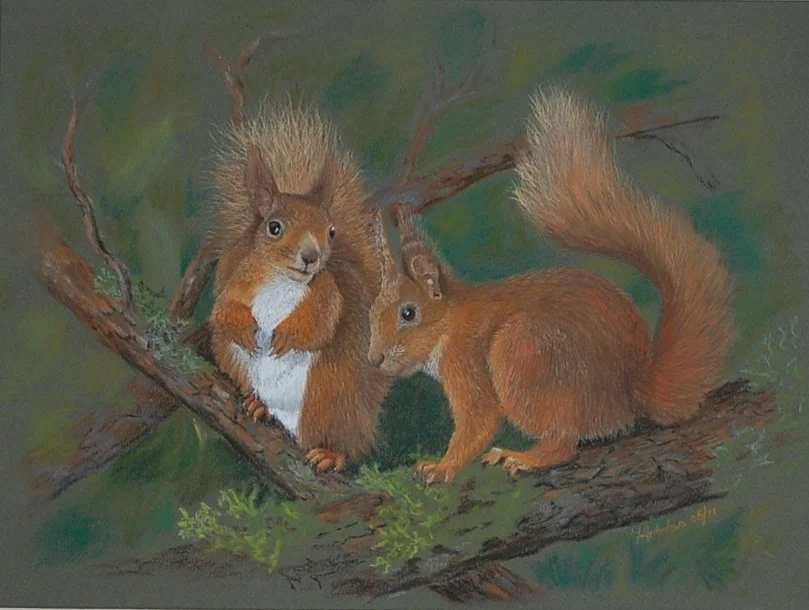 two squirrels two squirrels