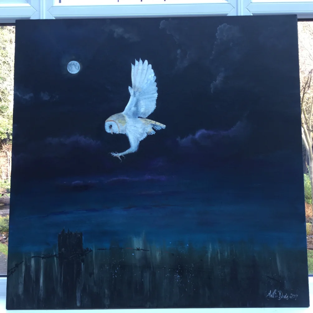 Barn owl landing Barn owl landing