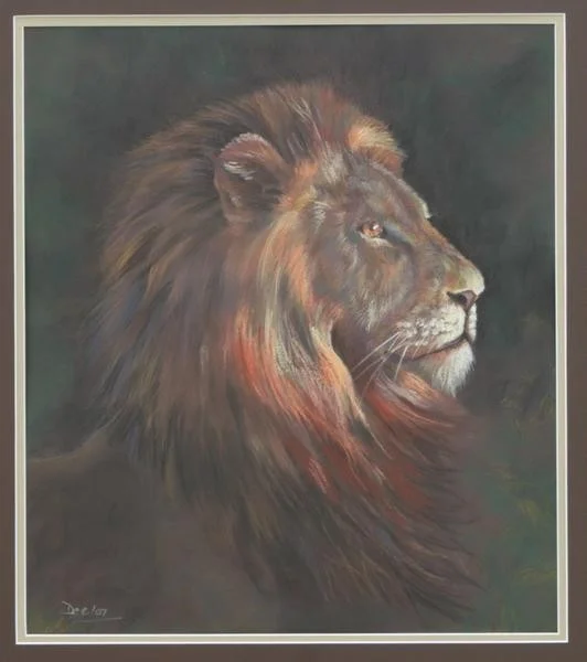 Lion Lion