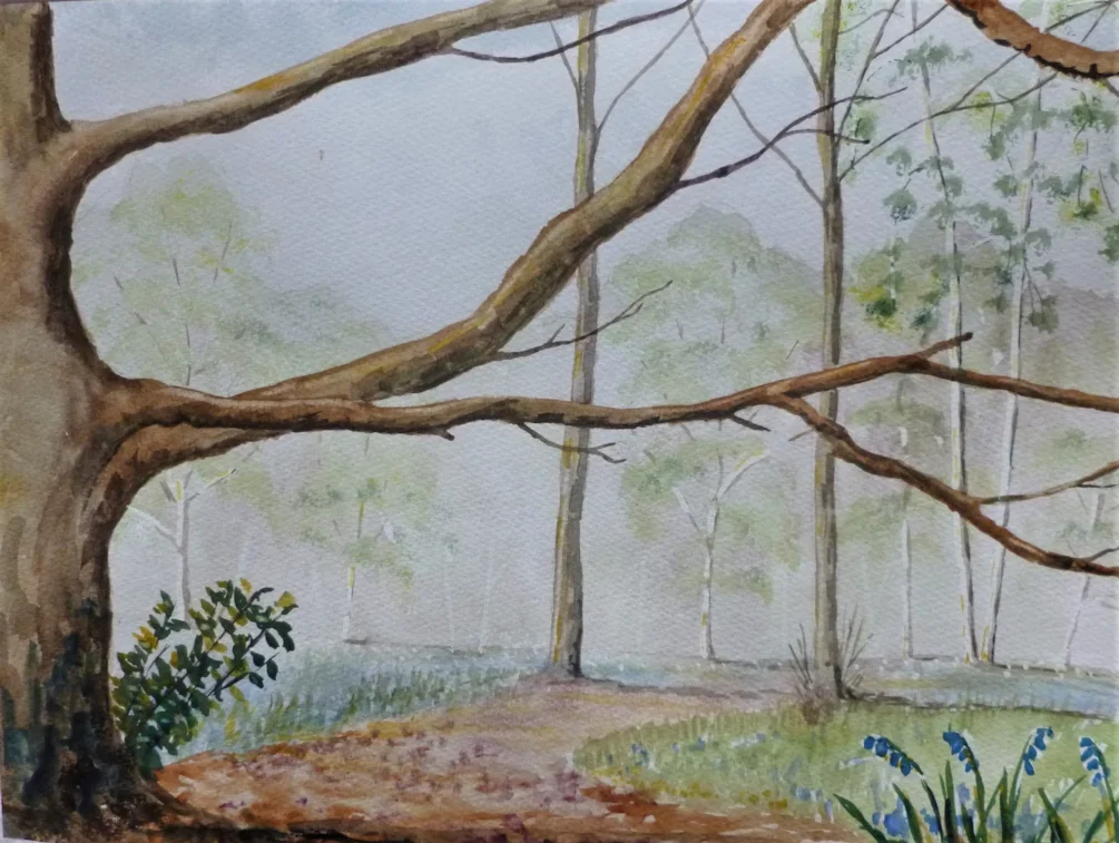 Woodland scene Woodland scene