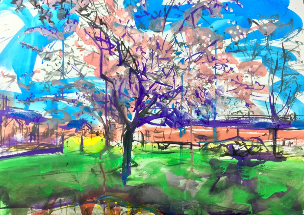 Blossom tree Spring Gardens, ink on A2 Blossom tree Spring Gardens, ink on A2