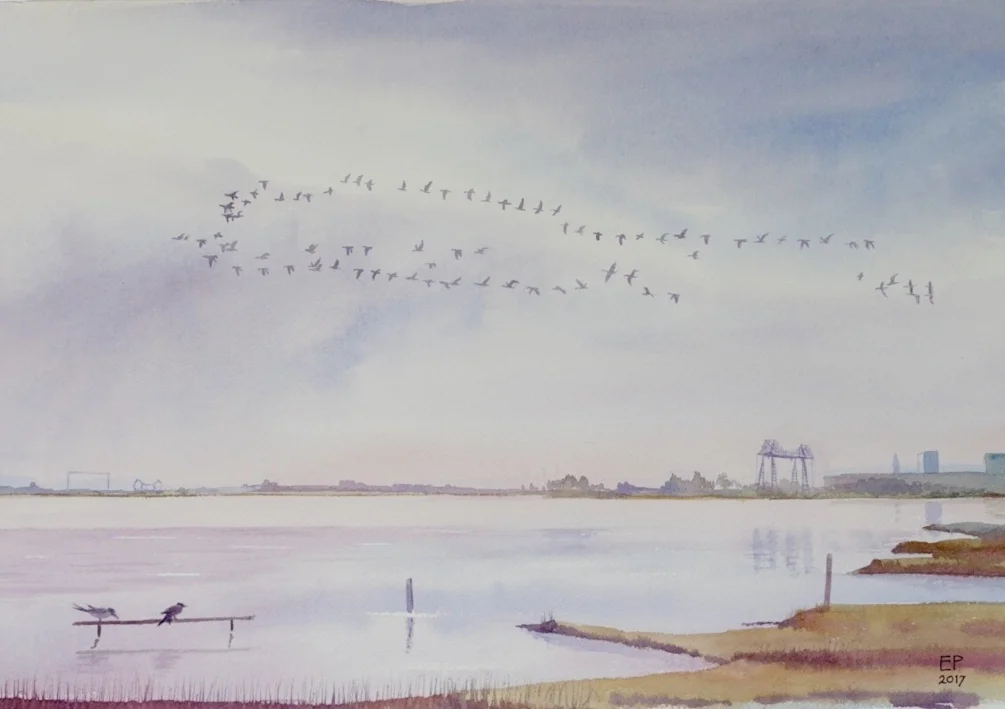 Departure Lounge (RSPB Saltholme) Departure Lounge (RSPB Saltholme)
