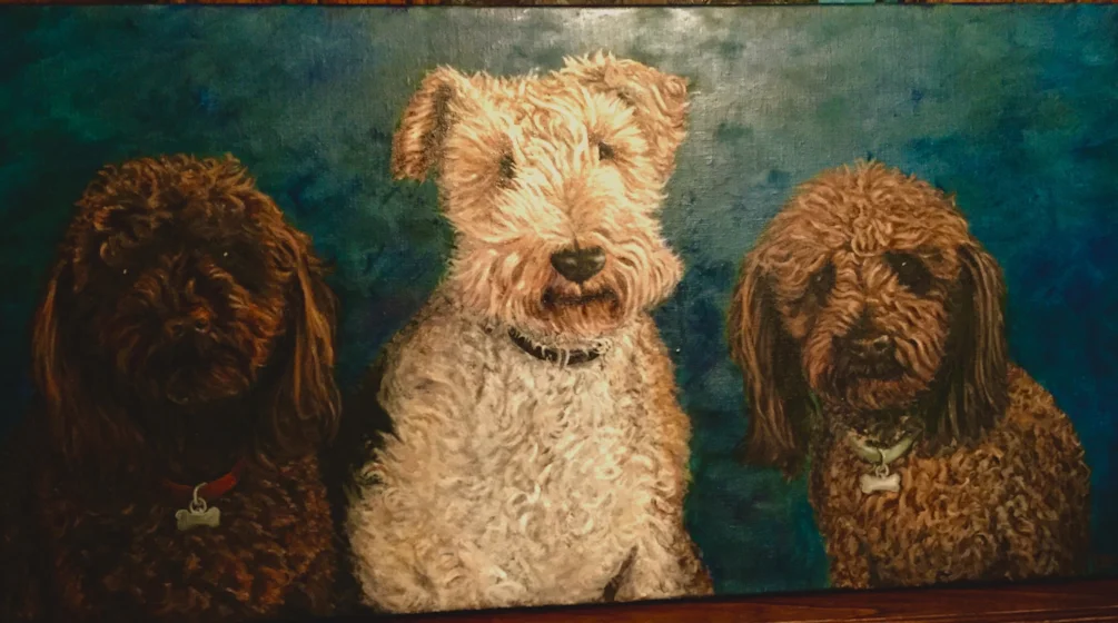 Doggies Doggies