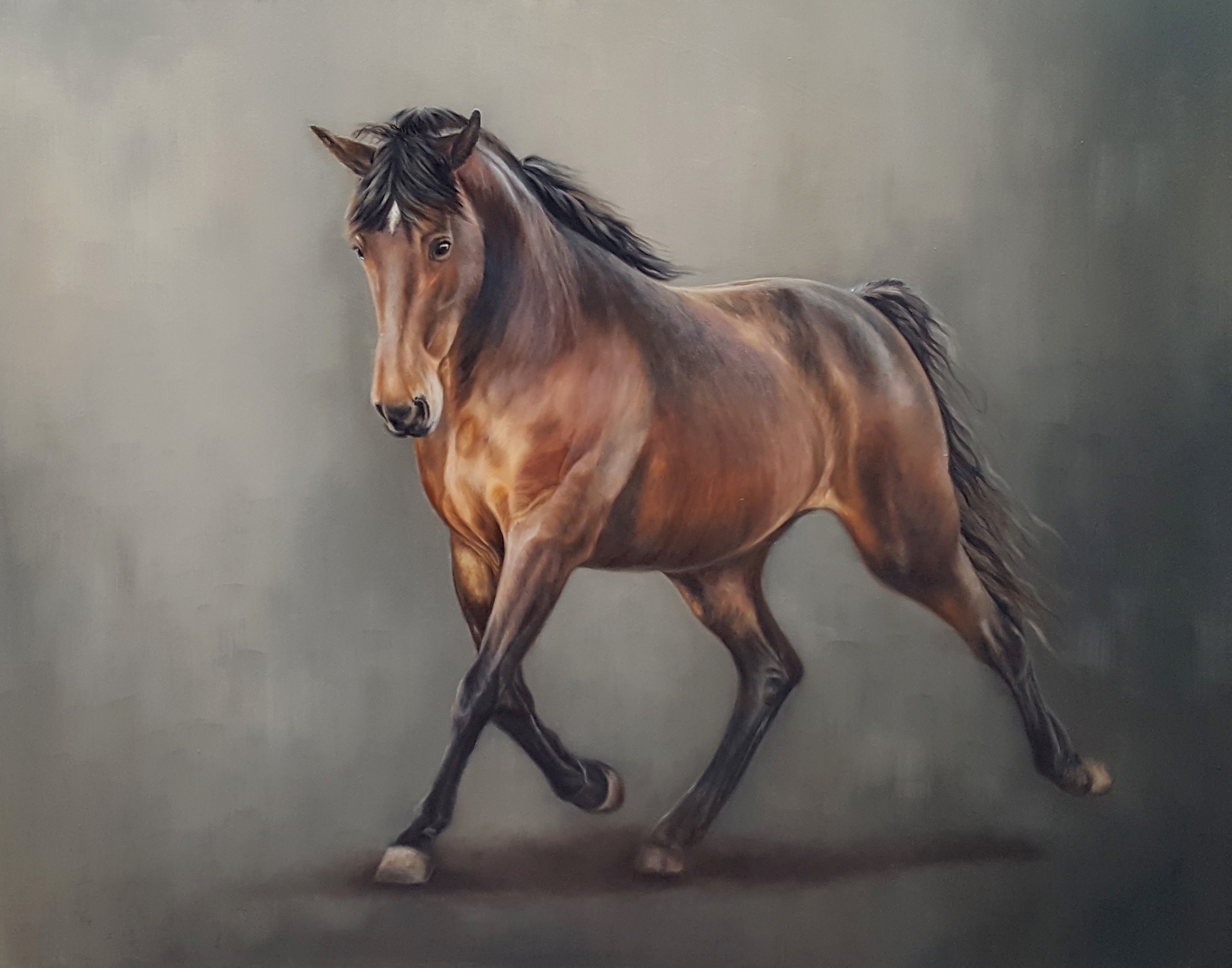 Jazz, Tennessee Walking Horse