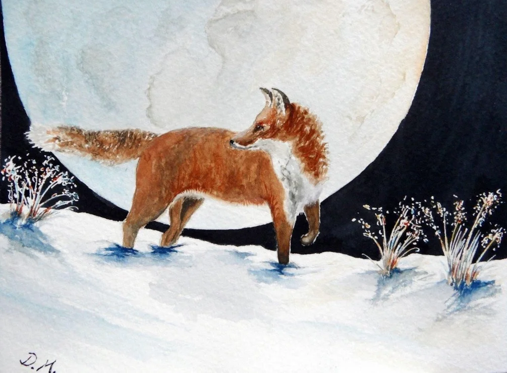 Fox On The Prowl Fox On The Prowl