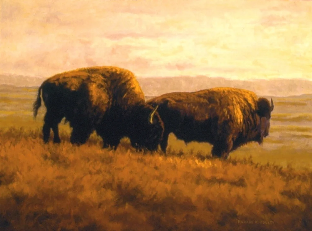Bison Ridge Bison Ridge