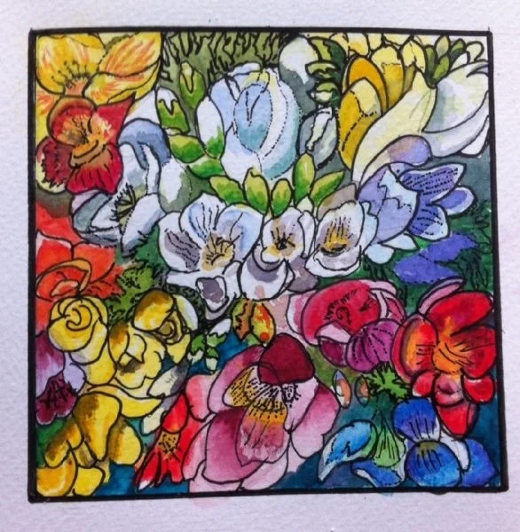 Freesia Freesia