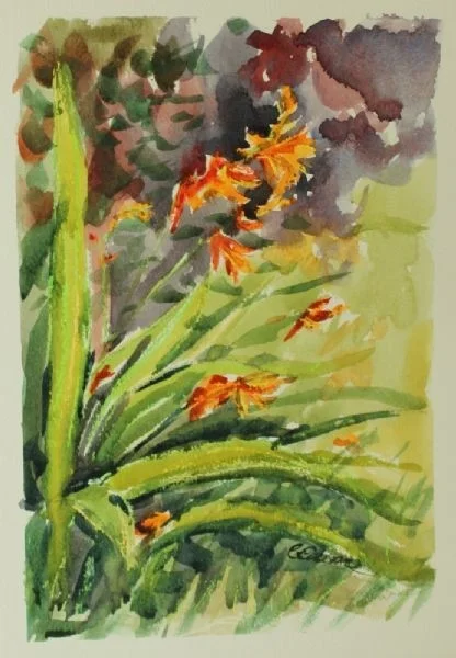 "Garden Crocosmia" "Garden Crocosmia"