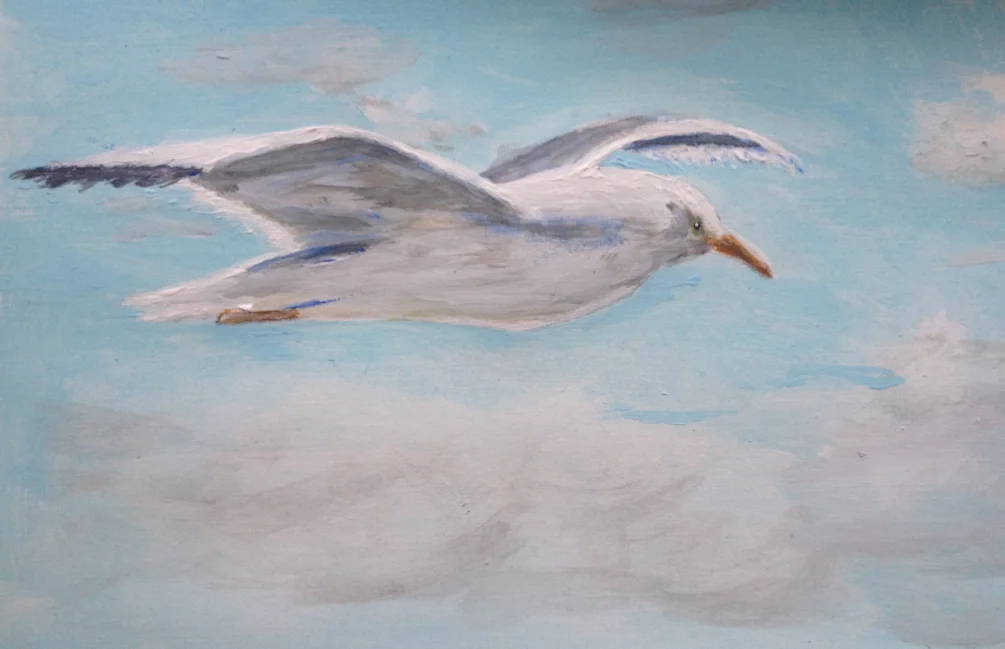 Sea gull Sea gull