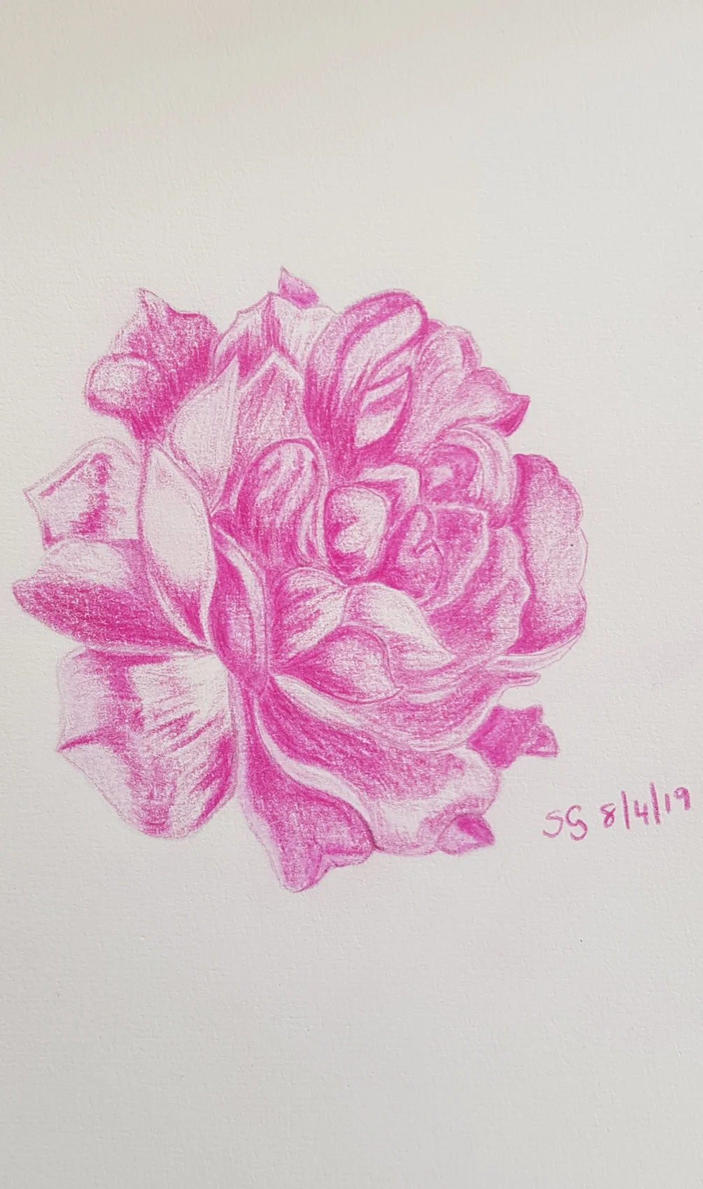 Rose Rose