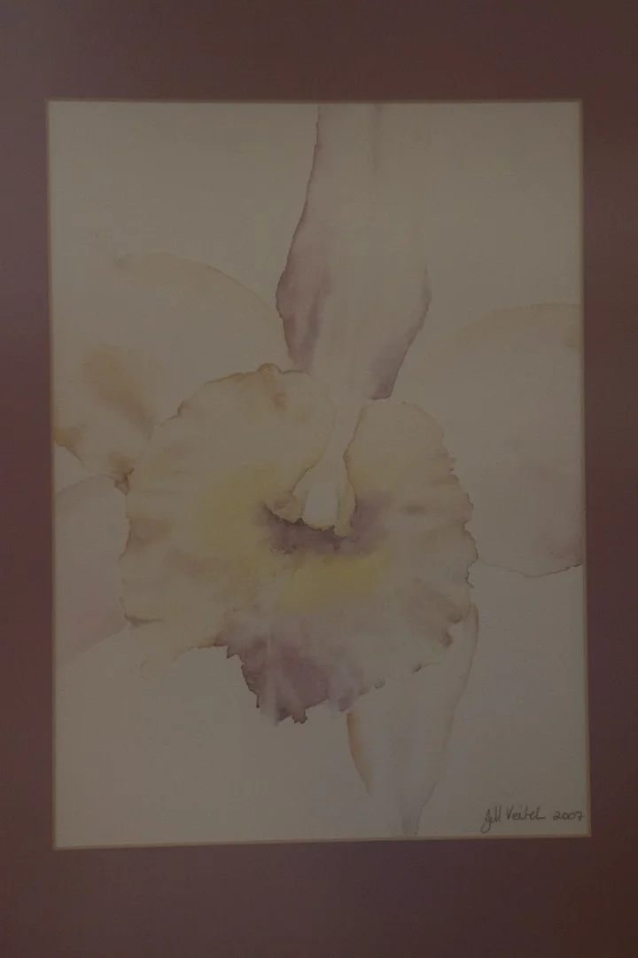 Orchid Orchid