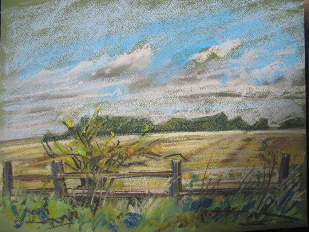 Near Warden Law Near Warden Law