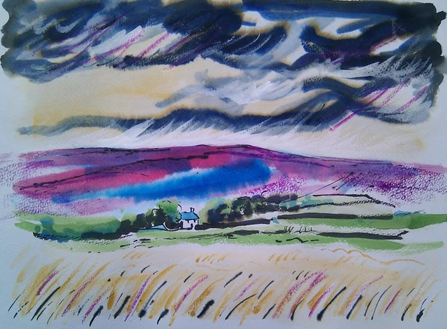 'Windy Day, Intake Farm, Barden Moor' 'Windy Day, Intake Farm, Barden Moor'
