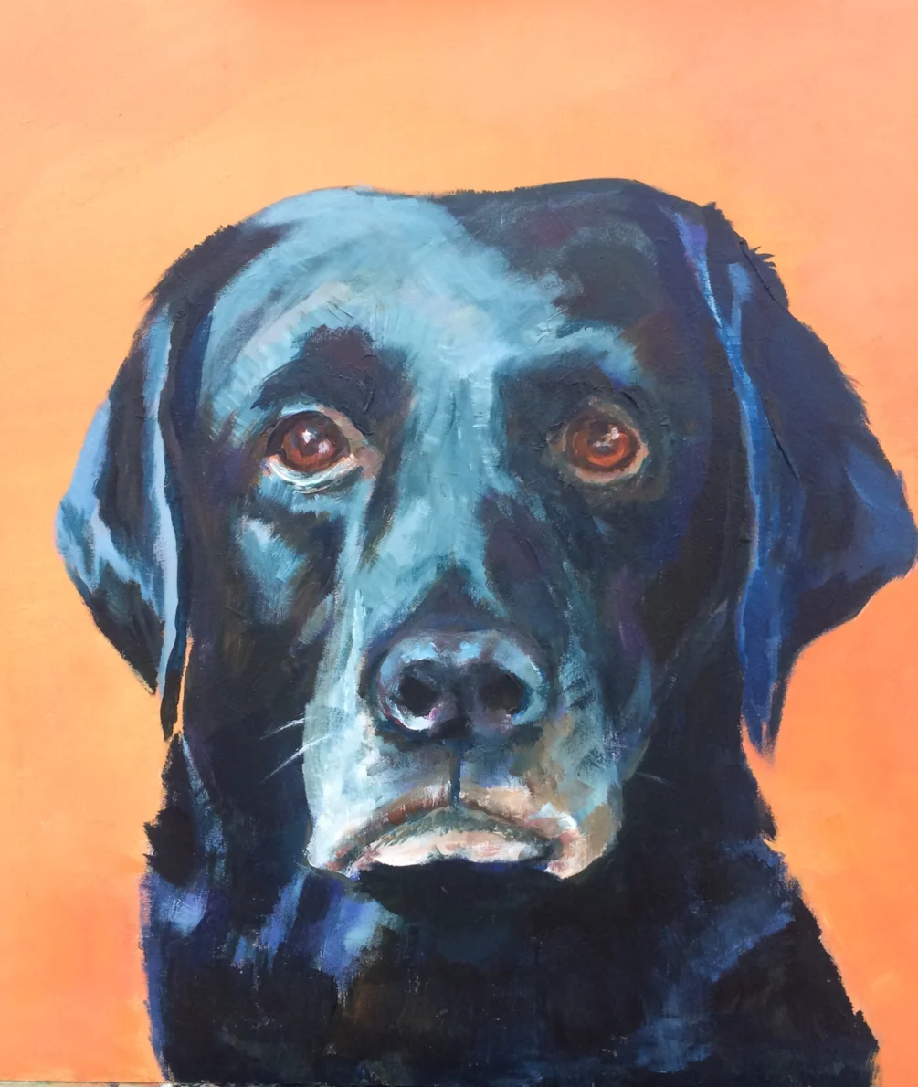 Oscar, 11, Best Dog in the World Oscar, 11, Best Dog in the World