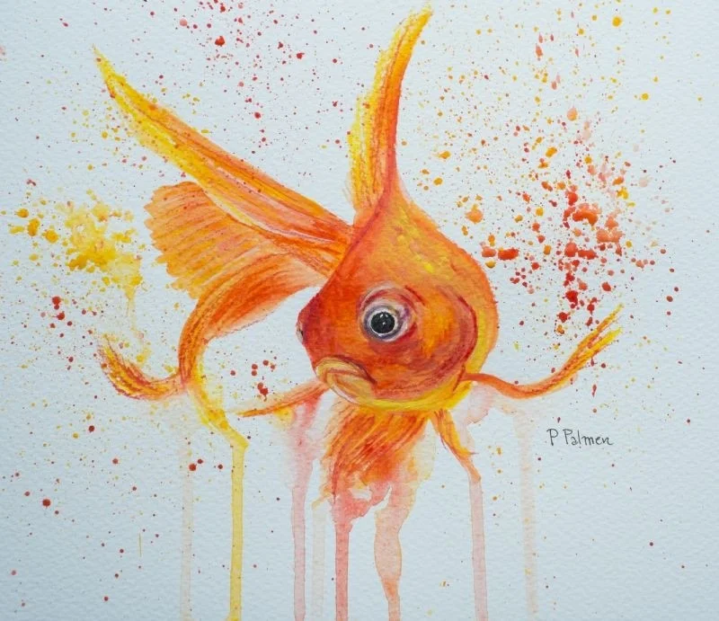 Goldfish Goldfish