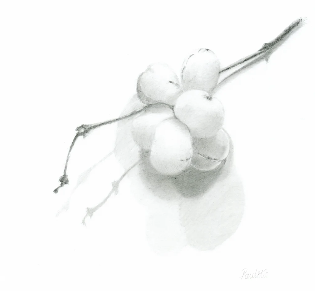 Snowberries Snowberries