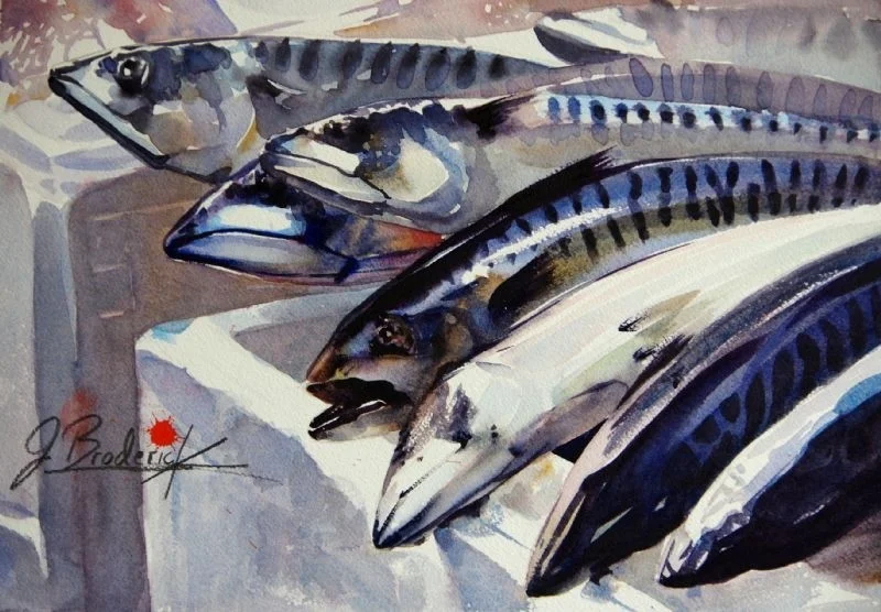 Mackerel Mackerel